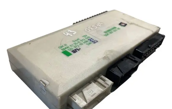 BMW 5 E39 Comfort/convenience module 6913519 12037310
