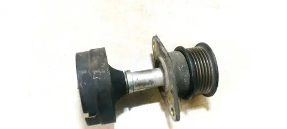 Ford Focus Alternator pulley 