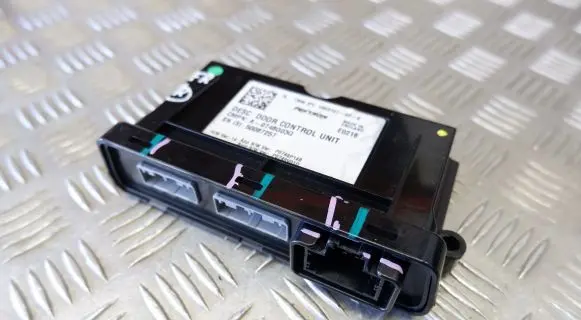 Tesla Model S Door control unit/module 100310100E