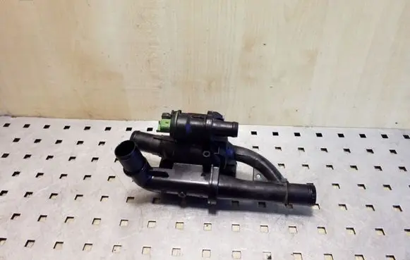 Thermostat/thermostat housing