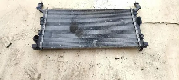 Renault Laguna III Coolant radiator 214100004R
