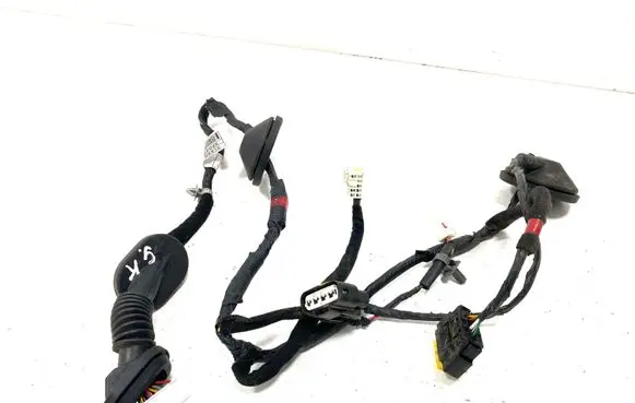Rear door wiring loom