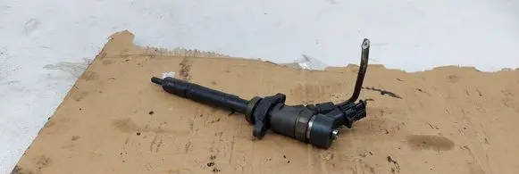 Citroen C5 Fuel injector 0445110188