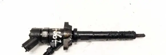 Peugeot 207 Fuel injector 0445110239 FFFF5E607
