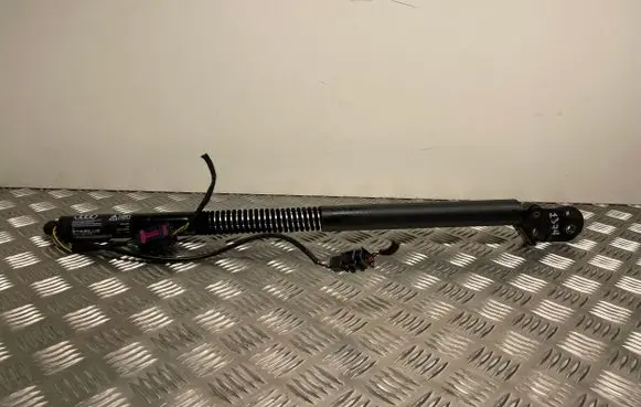 Tailgate/trunk strut/damper