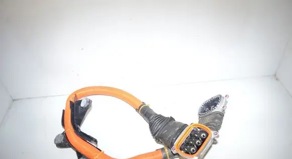 Other wiring loom