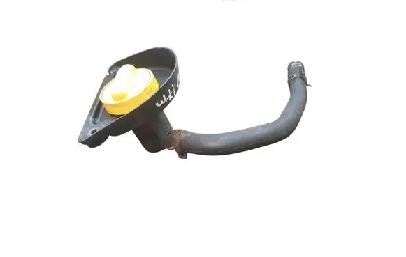 Renault Trafic III (X82) Oil fill pipe 8200795333