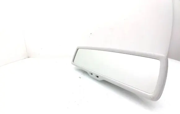 Volkswagen PASSAT B7 Rear view mirror (interior) E11026141 GNTX398