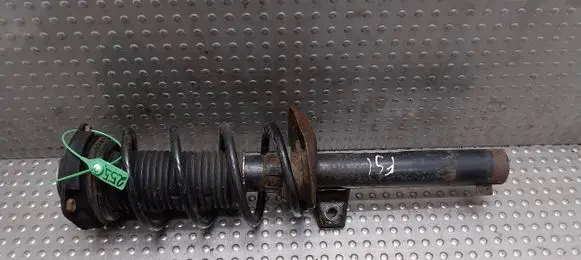 Volkswagen Golf V Front shock absorber/damper 1K0413031AC