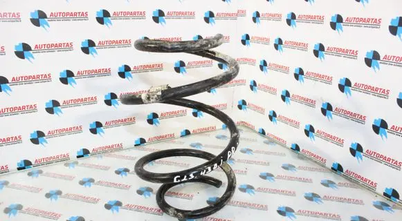 Front coil spring