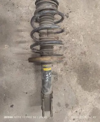 Citroen C4 I Front shock absorber with coil spring G7205