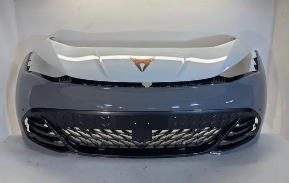 Cupra Born Front bumper 10e8059030
