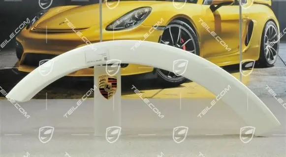 Porsche Cayenne (9PA) Fender 95555971703G2X