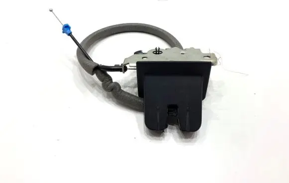 Audi Q3 F3 Tailgate exterior lock 81A827506