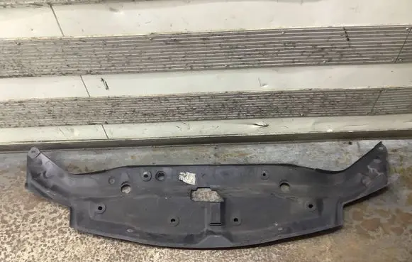 Engine bonnet/hood lock trim molding