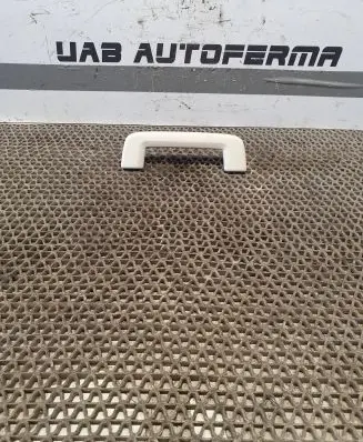 Ford Focus Front interior roof grab handle