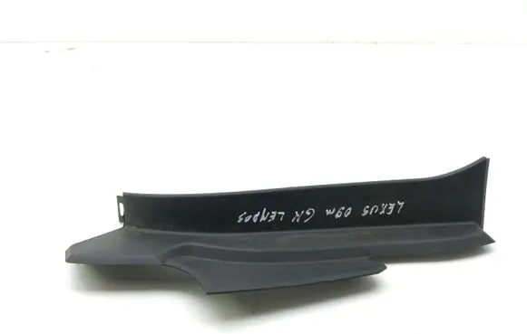 Rear/tail light trim molding