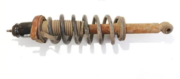 Dodge Journey Rear shock absorber/damper