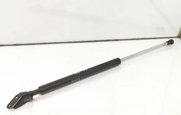 Tailgate strut