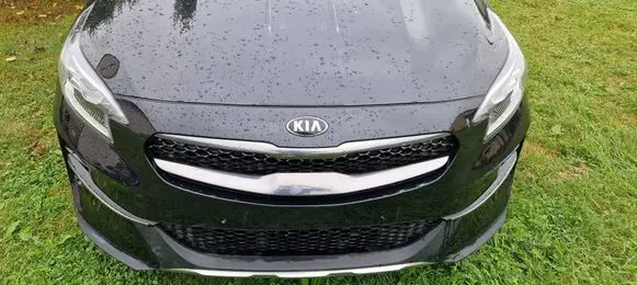 Engine bonnet/hood