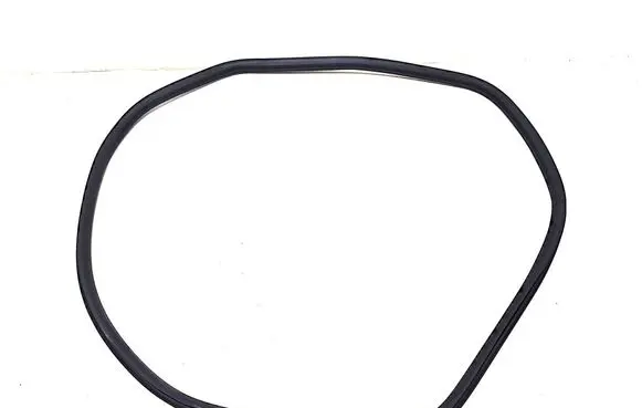Mercedes-Benz EQE v295 Rubber seal rear door A2956970400