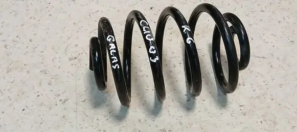 Rear coil spring