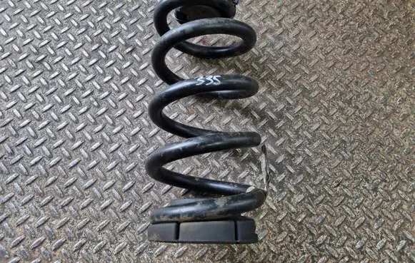 Rear coil spring