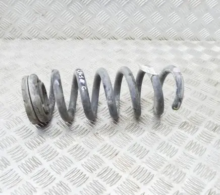 Ford Mustang Mach-E Rear coil spring LJ9C5560ANE