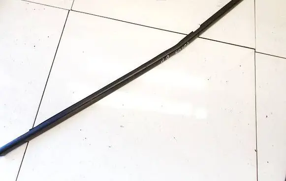 Renault Scenic II - Grand scenic II Front door glass trim molding 