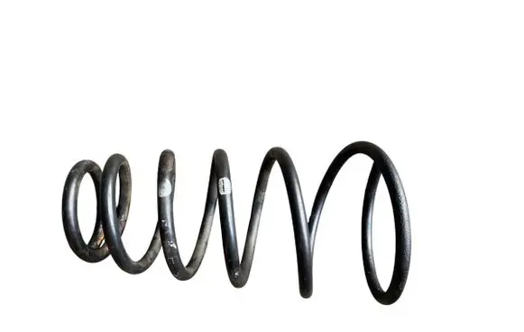 Rear coil spring