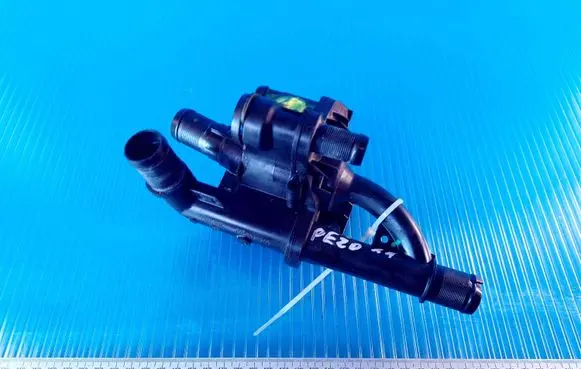 Thermostat/thermostat housing