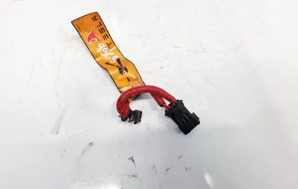Tesla Model S Other wiring loom