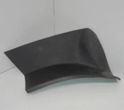 Rear/tail light trim molding