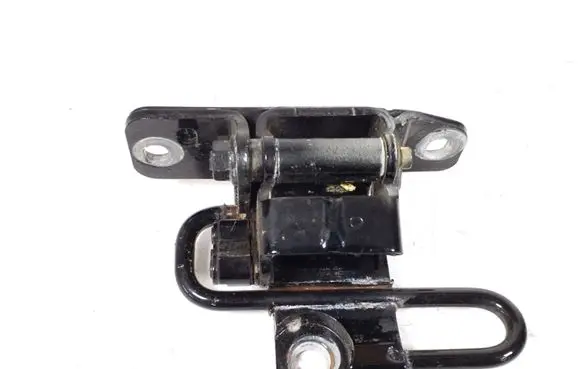 Rear door lower hinge