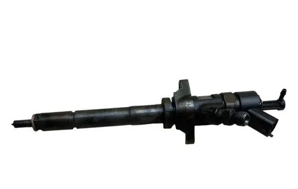 Citroen Berlingo Fuel injector 0445110239