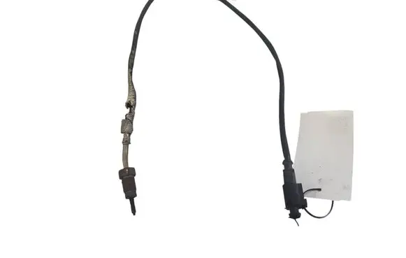 Exhaust gas temperature sensor
