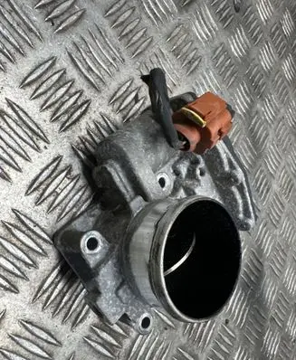 KIA Sorento Throttle valve 351002f100