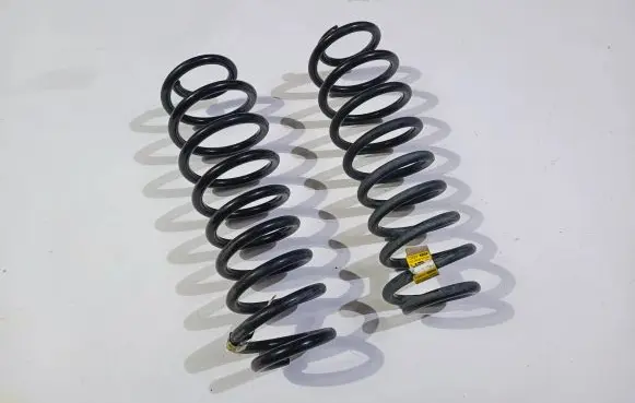 Ford Mustang V Rear coil spring