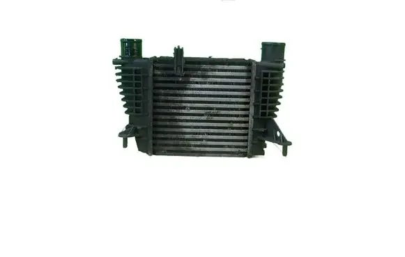 Nissan Juke I F15 Intercooler radiator 16AB90