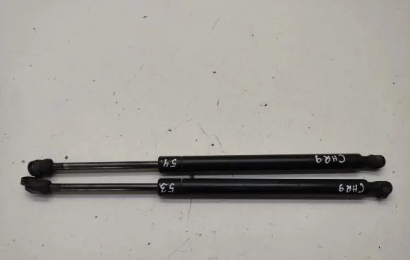 Chrysler 300 - 300C Tailgate/trunk strut/damper 04589626AA 5106YQ