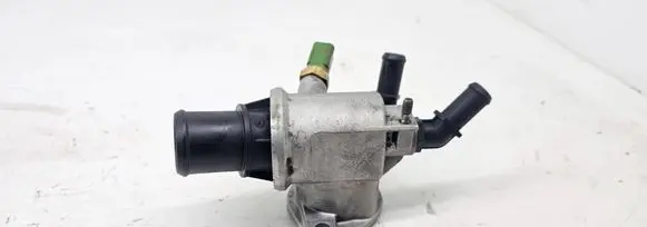 Thermostat/thermostat housing