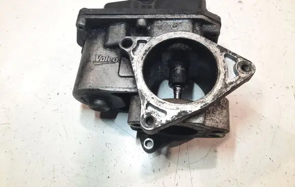 Opel Vivaro EGR valve 03G131501 216035358