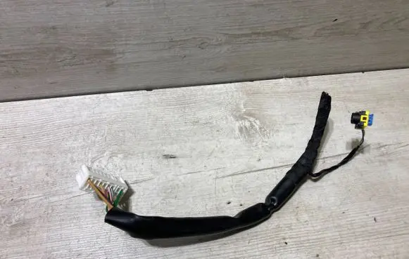Rear door wiring loom