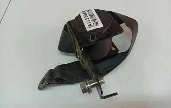 Hyundai Sonata Rear seatbelt E11041207