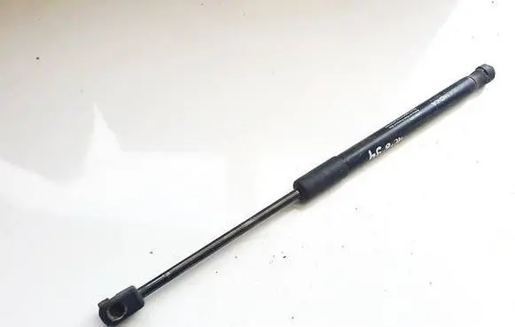 Tailgate/trunk strut/damper
