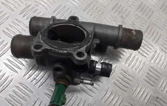Thermostat/thermostat housing