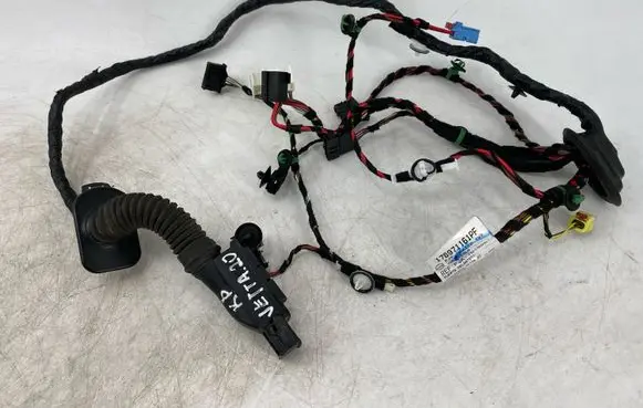Volkswagen Jetta USA Front door wiring loom 17B971161PF