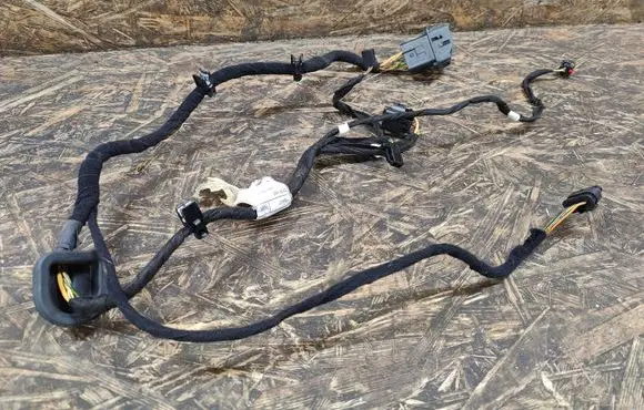 Rear door wiring loom