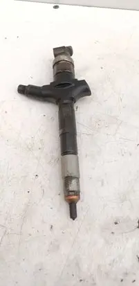 Opel Signum Fuel injector 0800 06G01800