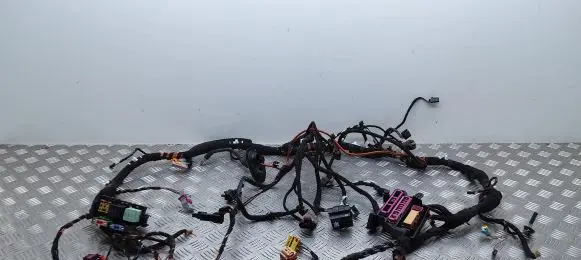 Audi Q5 SQ5 Other wiring loom 8R1971315A TAB026068AS